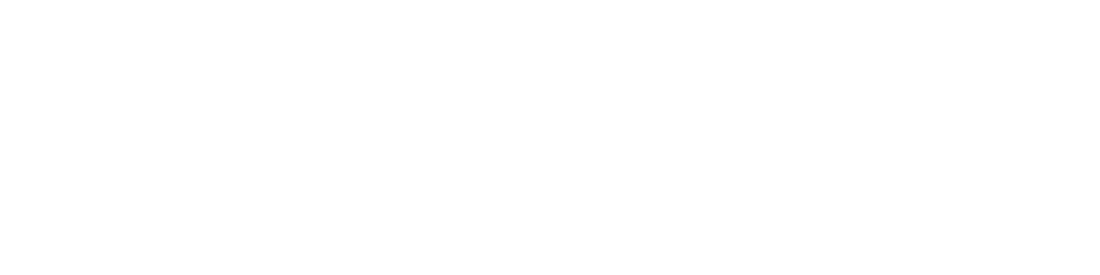 BridgeVerse